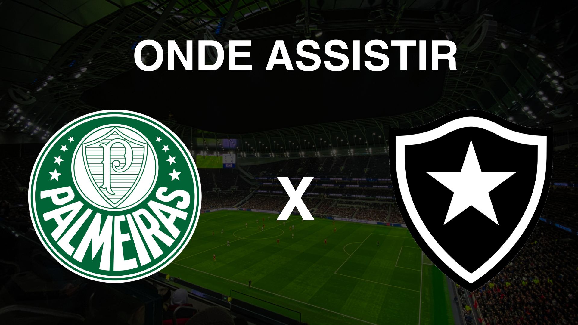 Onde assistir Palmeiras x Botafogo